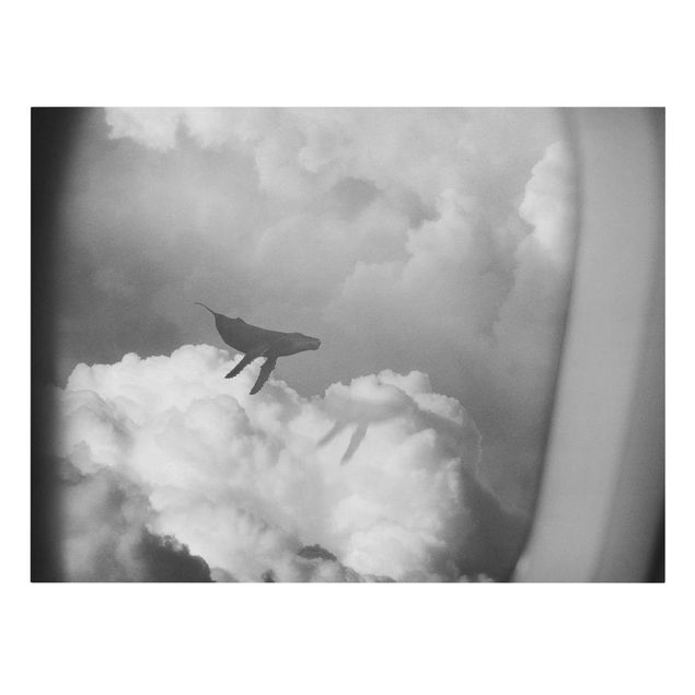 Quadri su tela animali Balenottera volante tra le nuvole