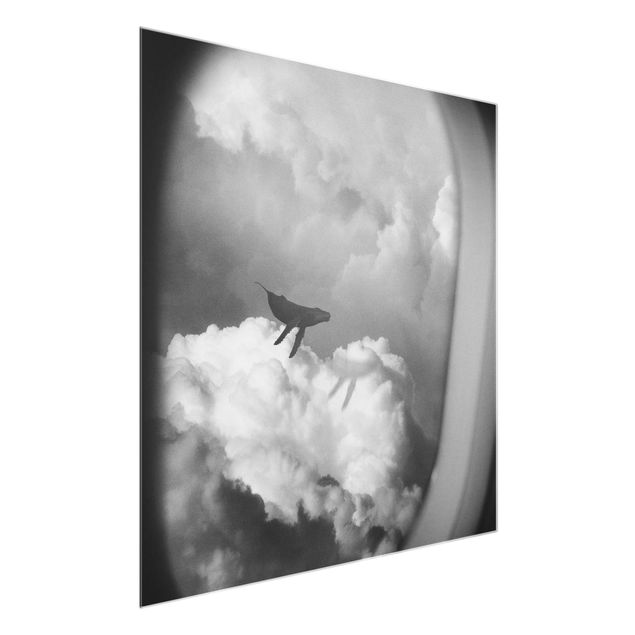 Quadro in vetro - Balenottera volante tra le nuvole - Quadrato 1:1