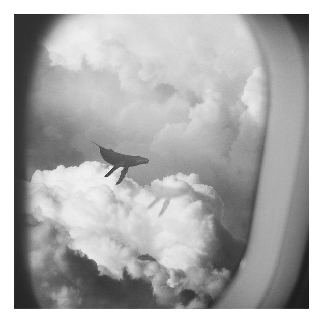 Quadro in vetro - Balenottera volante tra le nuvole - Quadrato 1:1