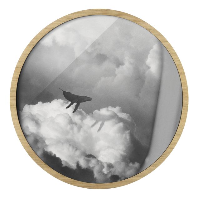 Quadro rotondo incorniciato - Balenottera volante tra le nuvole