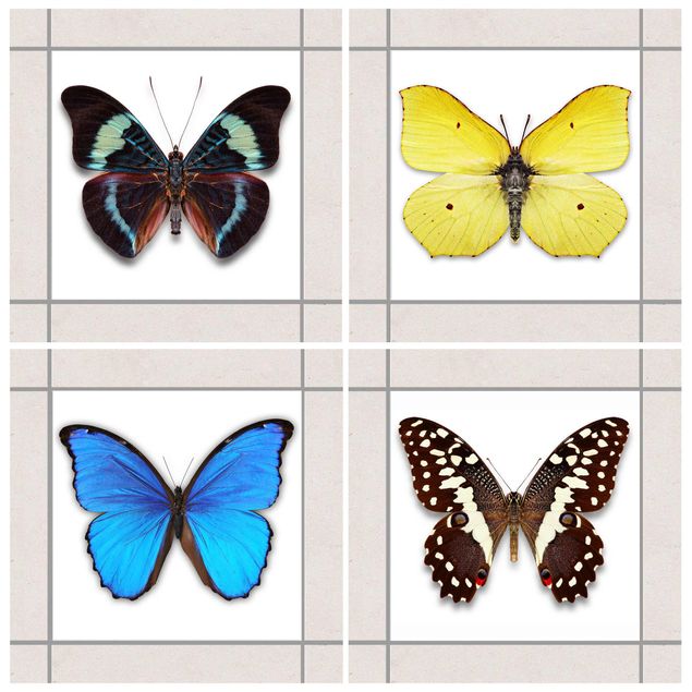 Adesivo per piastrelle - Elegant Butterfly Set 10cm x 10cm