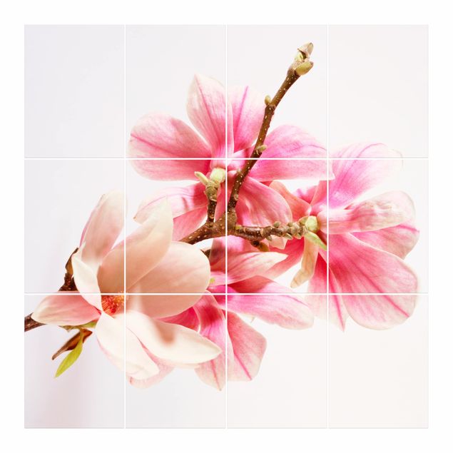 Adesivo per piastrelle - magnolia blossoms