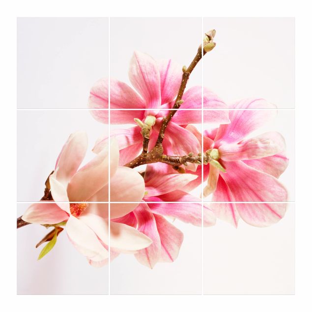 Adesivo per piastrelle - magnolia blossoms