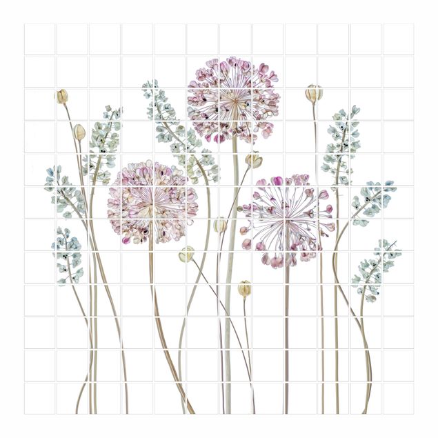 Adesivo per piastrelle - Allium Illustration - Quadrato