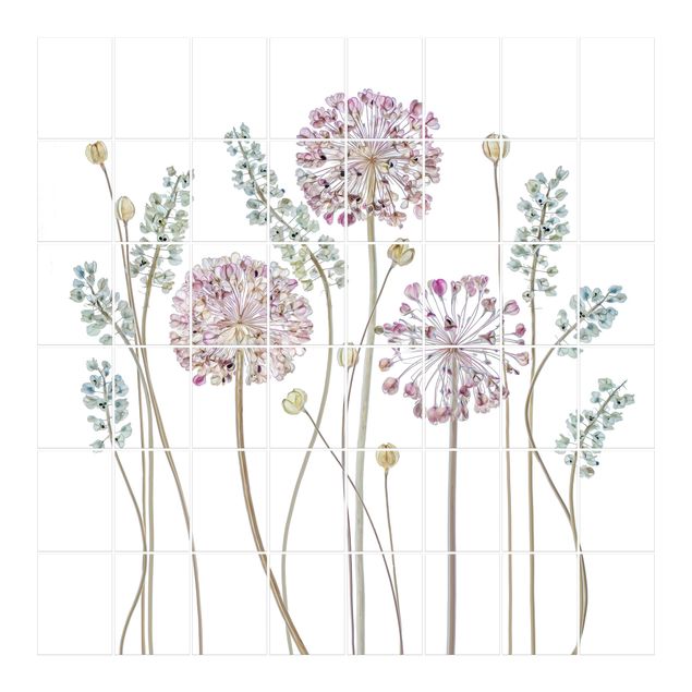 Adesivo per piastrelle - Allium Illustration - Quadrato