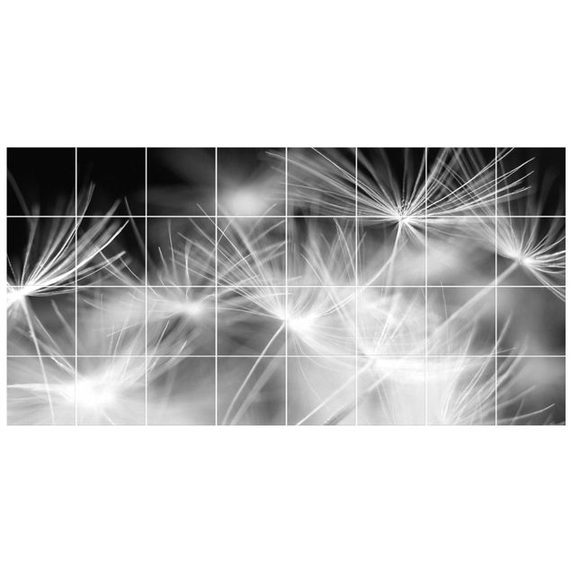 Adesivo per piastrelle - Moving Dandelions close up on black background