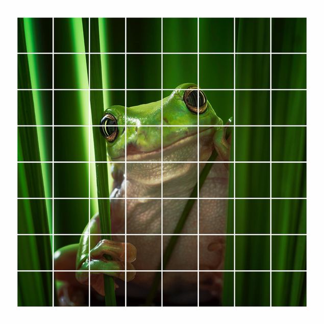 Adesivo per piastrelle - Merry Frog - Quadrato