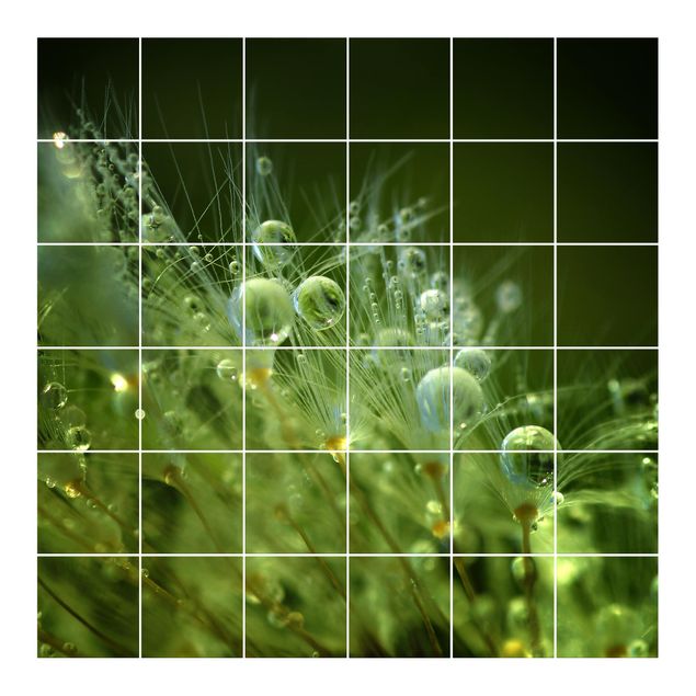Adesivo per piastrelle - Semi verdi Sotto La Pioggia - Quadrato