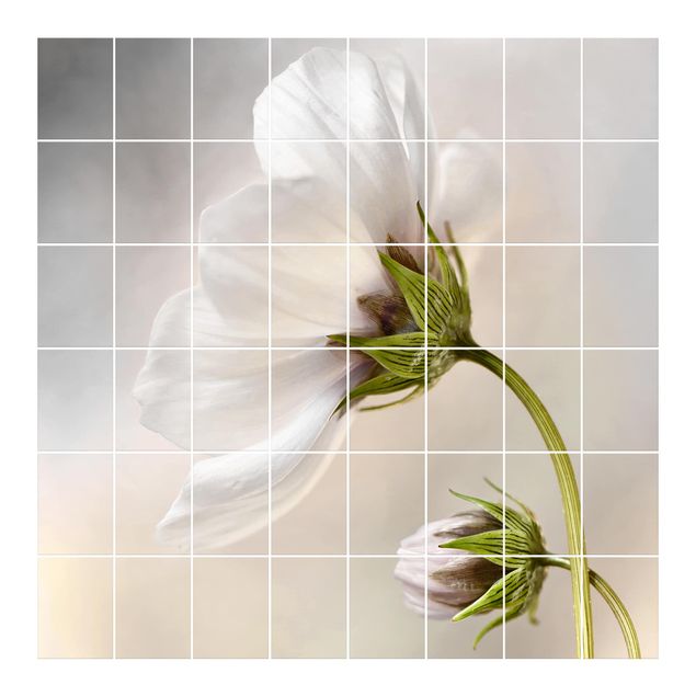 Adesivo per piastrelle - Heavenly Blütentraum - Quadrato