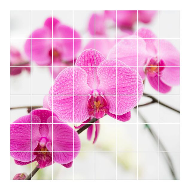 Adesivo per piastrelle - Close Orchid - Quadrato
