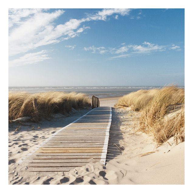 Quadro in forex - Baltic beach - Quadrato 1:1