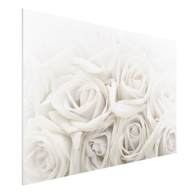 Quadro in forex - White Roses - Orizzontale 3:2
