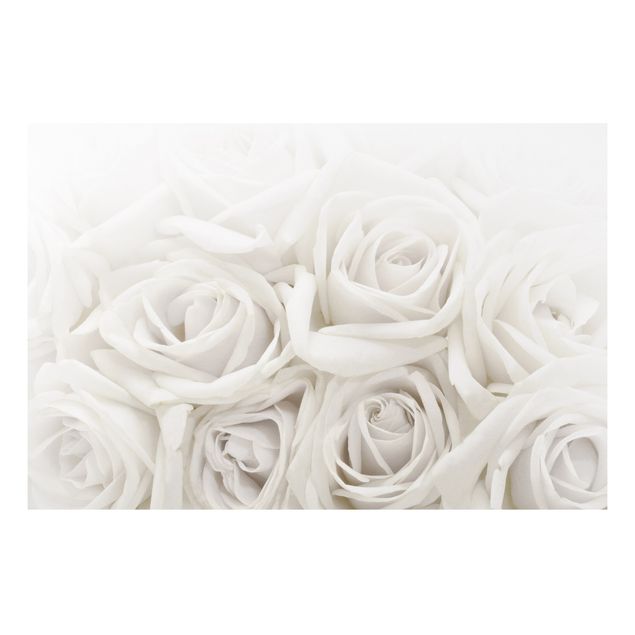 Quadro in forex - White Roses - Orizzontale 3:2