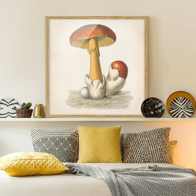 Poster con cornice - Funghi francesi