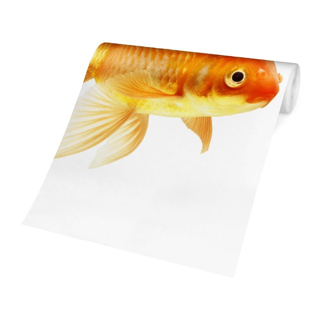 Carta da parati - Miss Goldfish