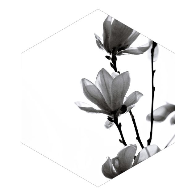 Carta da parati esagonale adesiva con disegni - Magnolia che sboccia in primavera bianco e nero