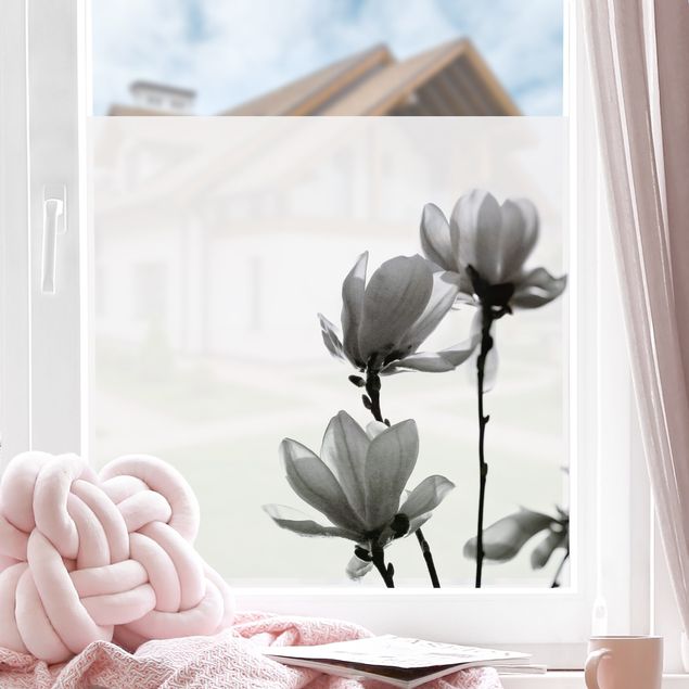 Pellicola per vetri per salone Magnolia che sboccia in primavera bianco e nero