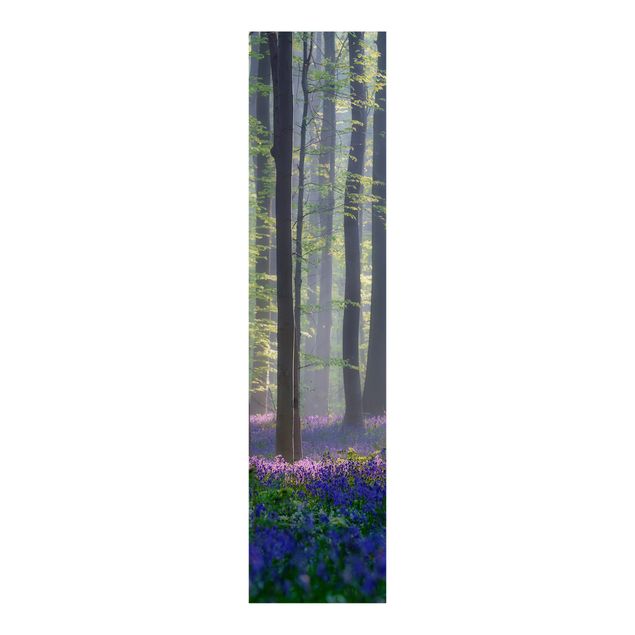 set tende a pannello Giornata di primavera nella foresta