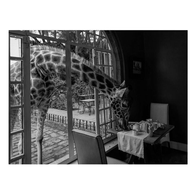 Tele bianco e nero Colazione con la Giraffa