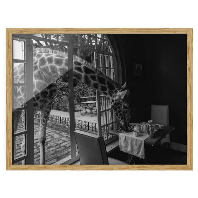 Poster con cornice - Colazione con la Giraffa