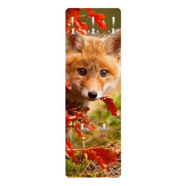 Appendiabiti - Fox in Autumn- Slender