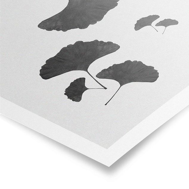 Poster - Composizione di ginko in bianco e nero