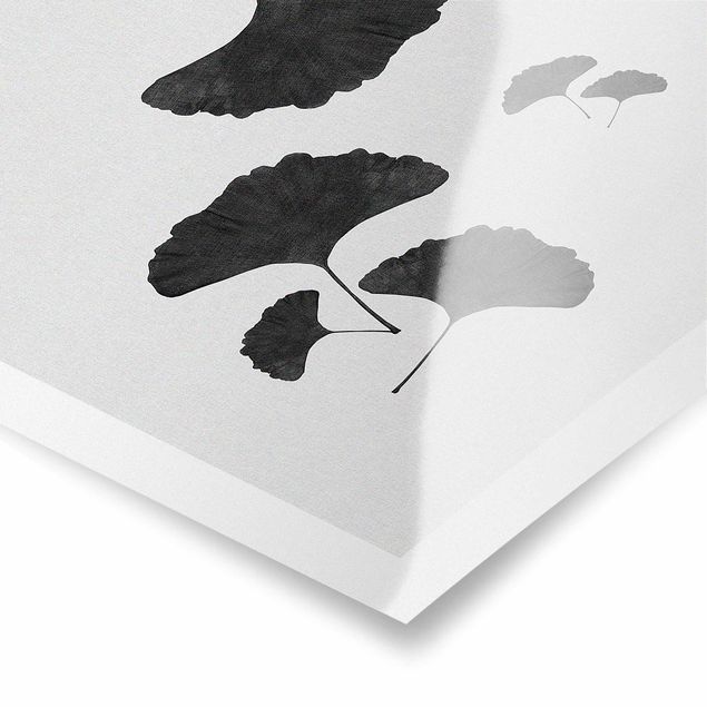 Poster - Composizione di ginko in bianco e nero