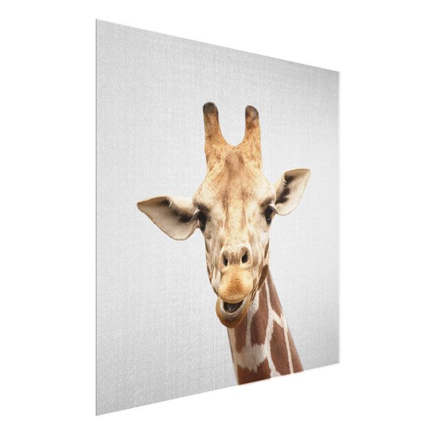 Quadro in vetro - Giraffa Gundel