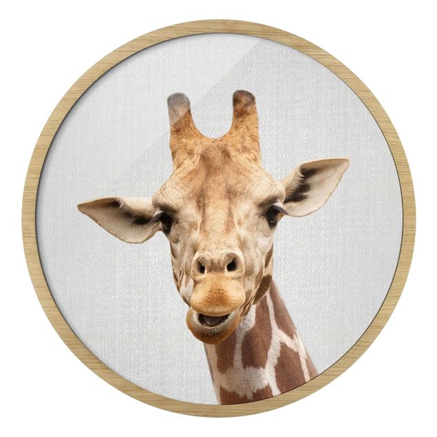 Quadro rotondo incorniciato - Giraffa Gundel