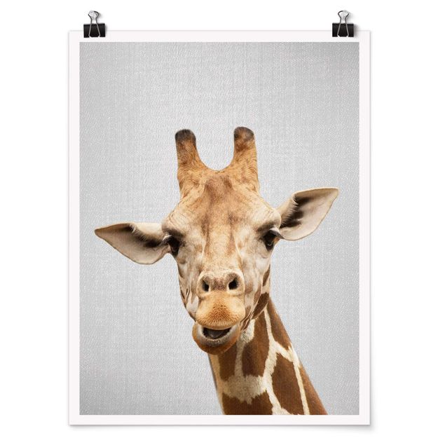 Poster riproduzione - Giraffa Gundel