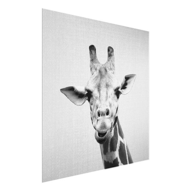 Quadro in vetro - Giraffa Gundel in bianco e nero