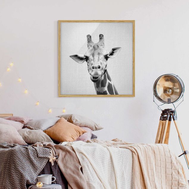 Poster con cornice - Giraffa Gundel in bianco e nero
