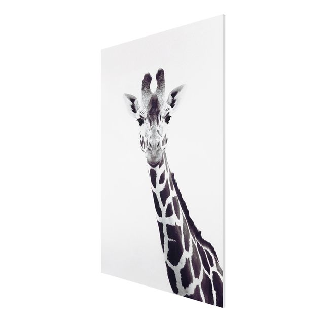 Stampa su Forex - Ritratto di giraffa in bianco e nero - Formato verticale 2:3