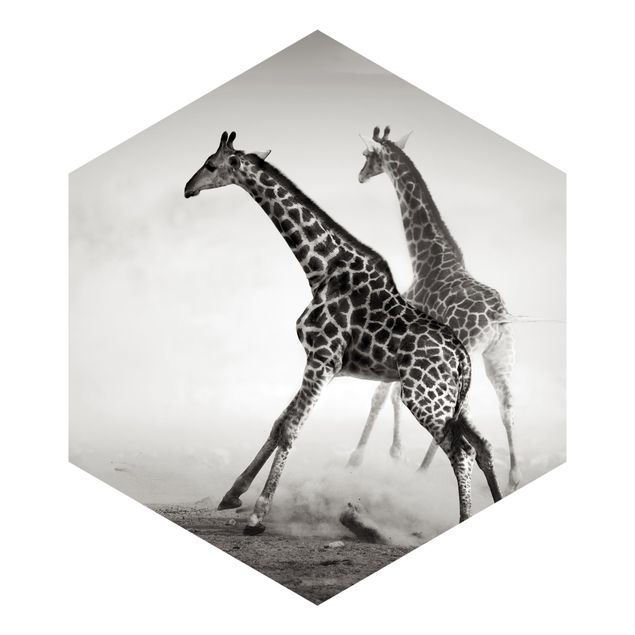 Carta da parati esagonale adesiva con disegni - Caccia alla giraffa