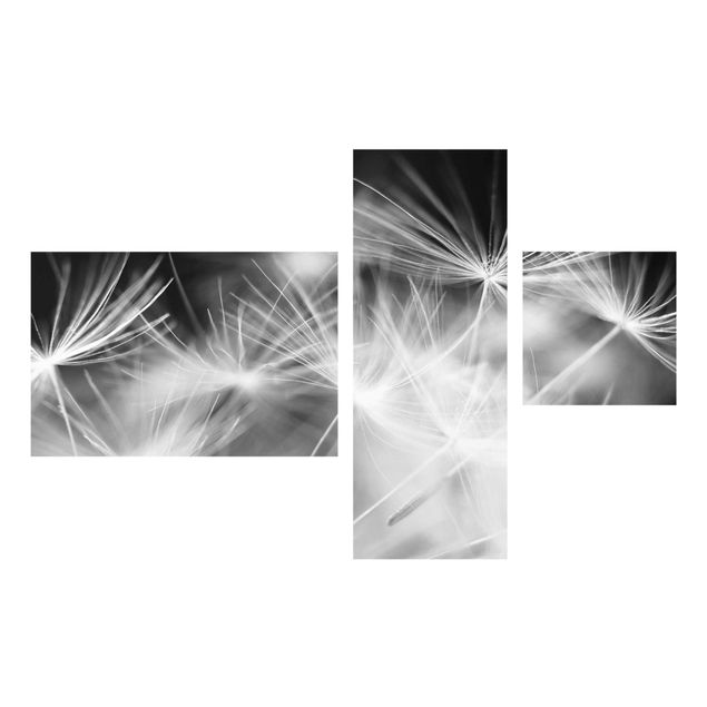 Quadro in vetro - Moving Dandelions close up on black background - 3 parti