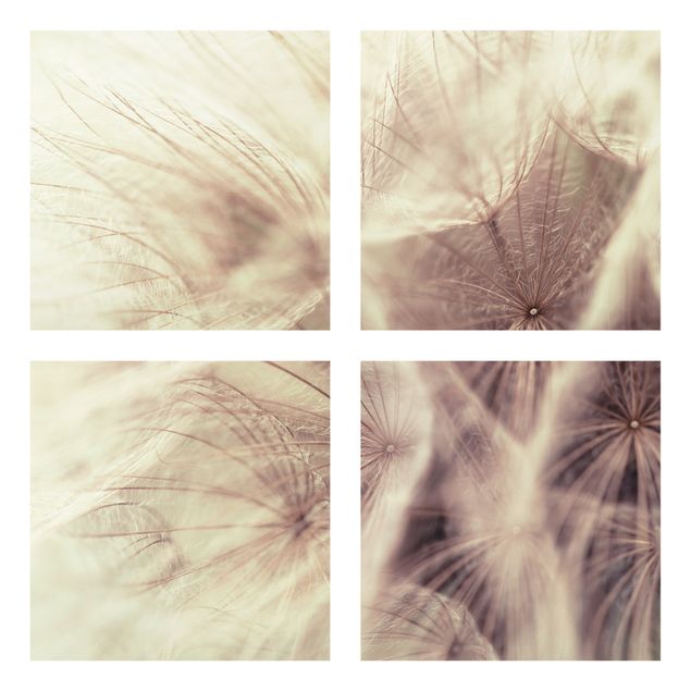 Quadro in vetro - Detailed dandelions macro shot with vintage Blur Effect - 4 parti