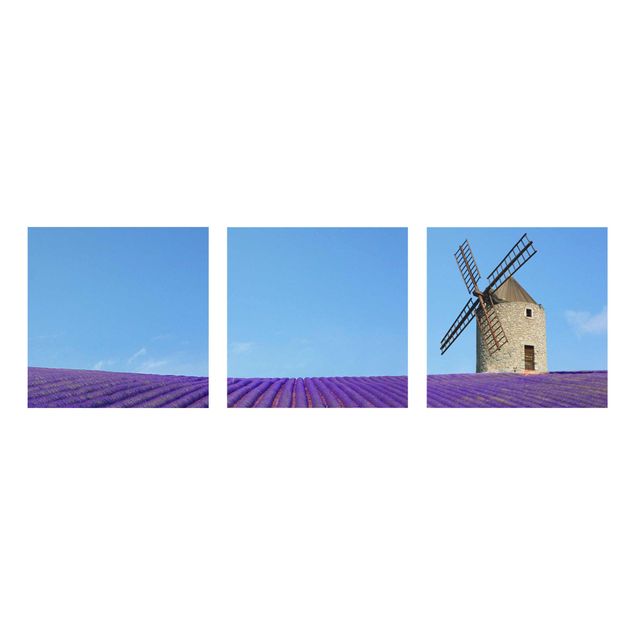Quadro in vetro - Lavender scent in Provence - 3 parti