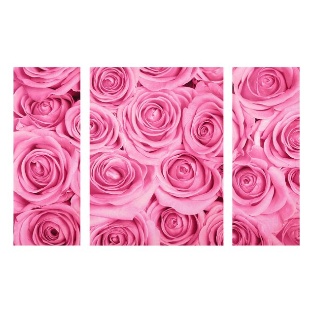 Quadro in vetro - Pink Roses - 3 parti