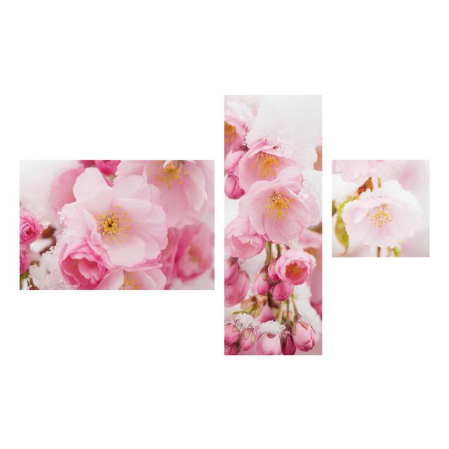 Quadro in vetro - Snow-Covered Cherry Blossoms - 3 parti set