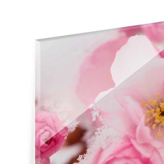 Quadro in vetro - Snow-Covered Cherry Blossoms - 3 parti set