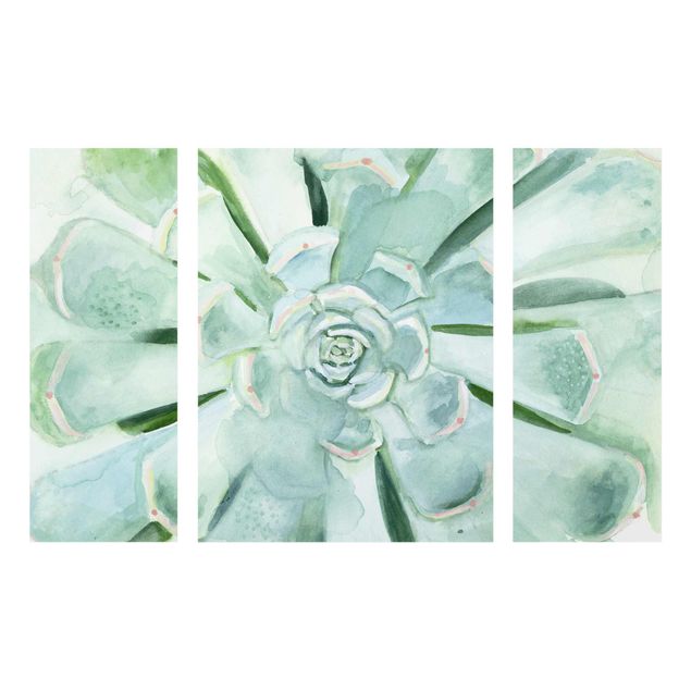 Quadro in vetro - Succulente Acquerello brillante - 3 parti