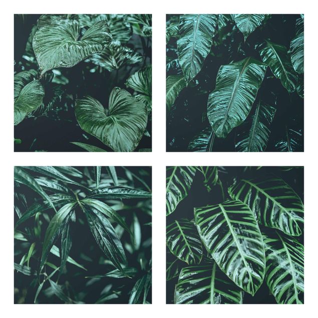 Quadro in vetro - Tropical Plants - 4 parti set