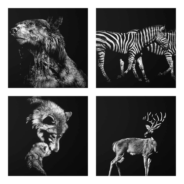 Quadro in vetro - Animali selvatici con sfondo nero Set I - 4 parti set