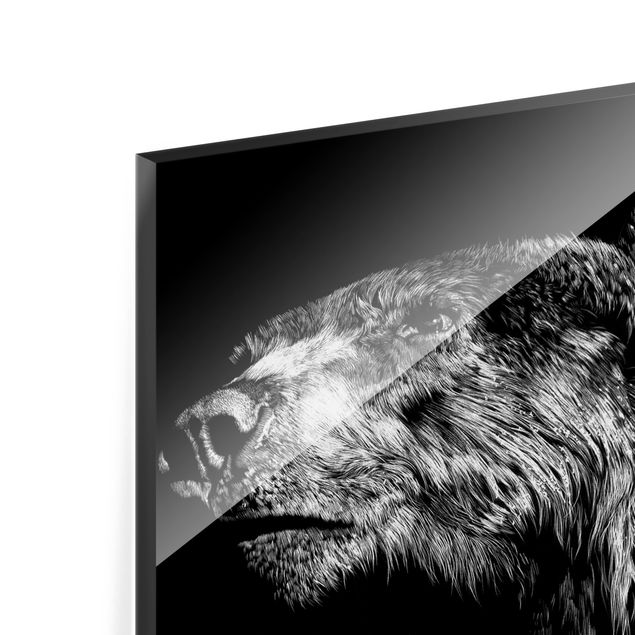 Quadro in vetro - Animali selvatici con sfondo nero Set I - 4 parti set