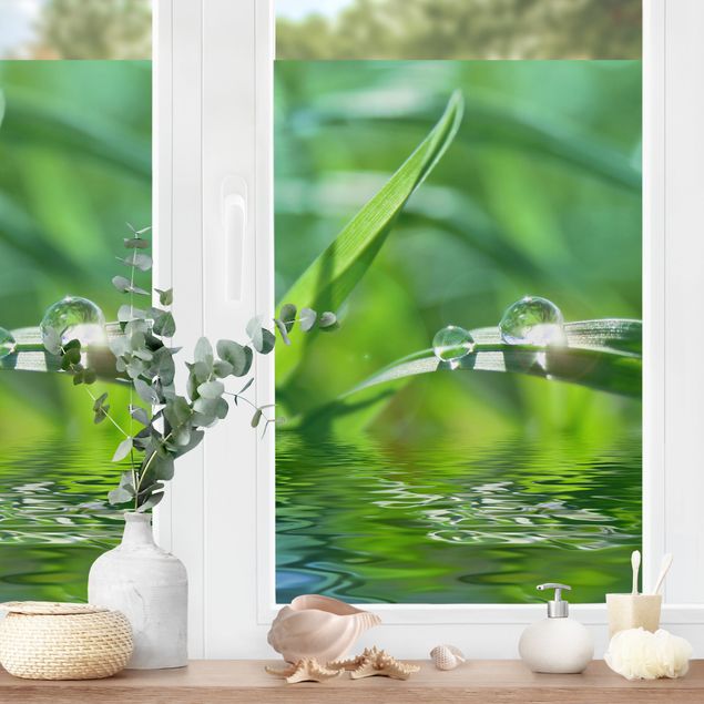 Pellicola per vetri con erbe Ambiente verde II