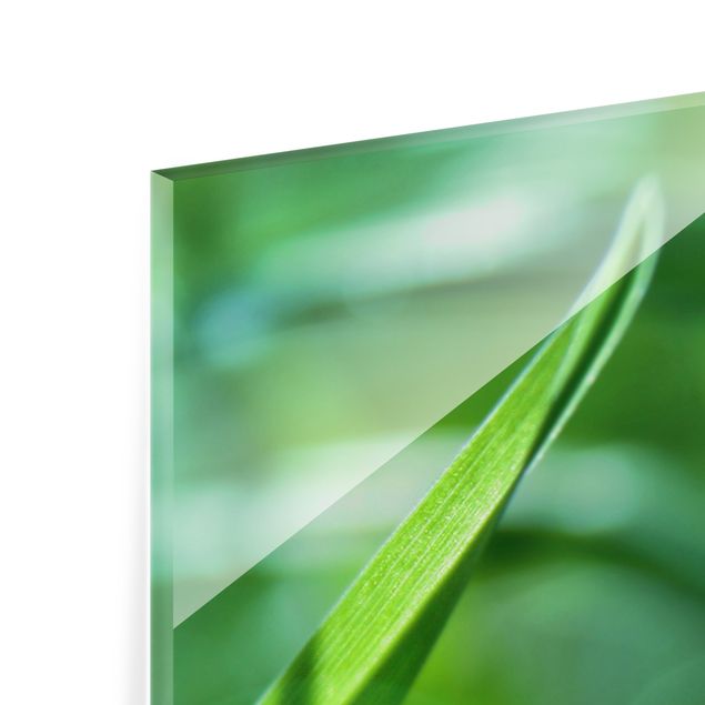 Quadro in vetro - Green Ambiance II - Formato verticale 2:3