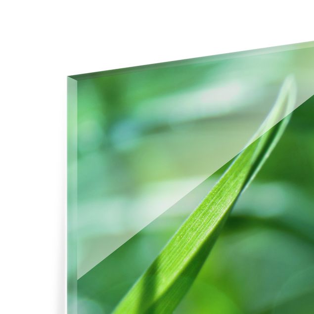 Quadro in vetro - Green Ambiance II - Formato verticale 3:4