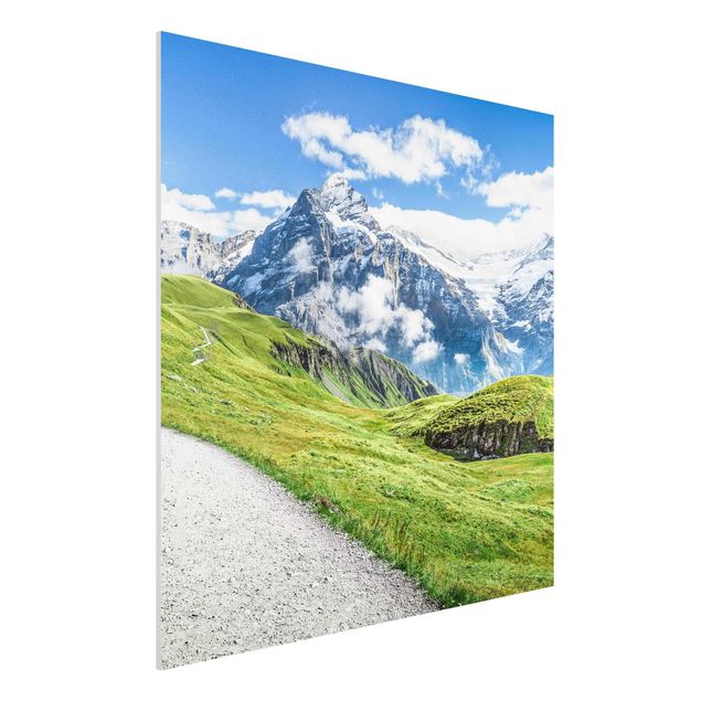 Stampa su Forex - Panorama di Grindelwald  - Quadrato 1:1
