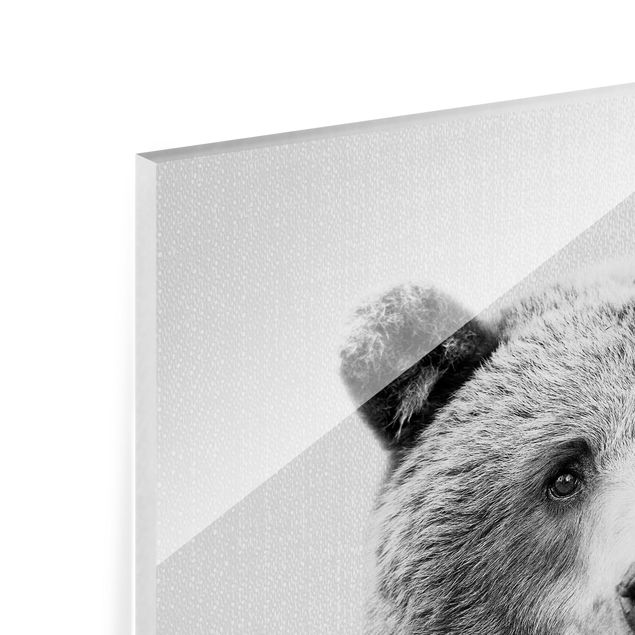 Quadro in vetro - Orso Grizzly Gustel in bianco e nero