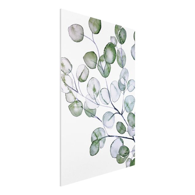 Stampa su Forex - Ramo di eucalipto in acquerello verde - Formato verticale 2:3